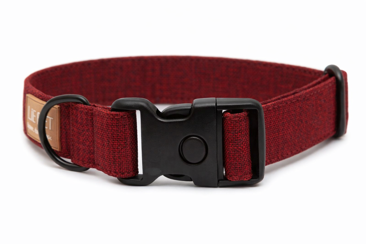 Hundehalsband Velvet