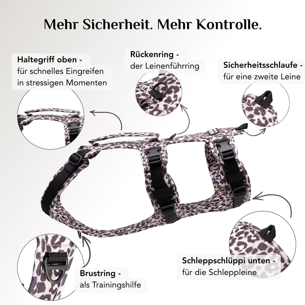 Befestigungsmöglichkeiten am Wau-Safety Sicherheitsgeschirr Leo Dark mit Rückenring, Brustring und Schleppschlüppi