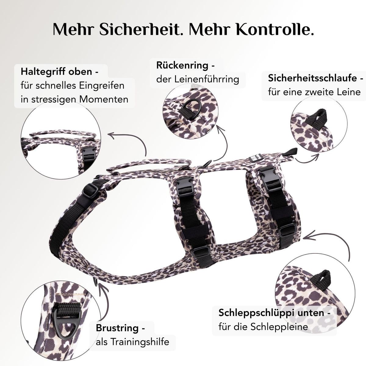 Befestigungsmöglichkeiten am Wau-Safety Sicherheitsgeschirr Leo Dark mit Rückenring, Brustring und Schleppschlüppi