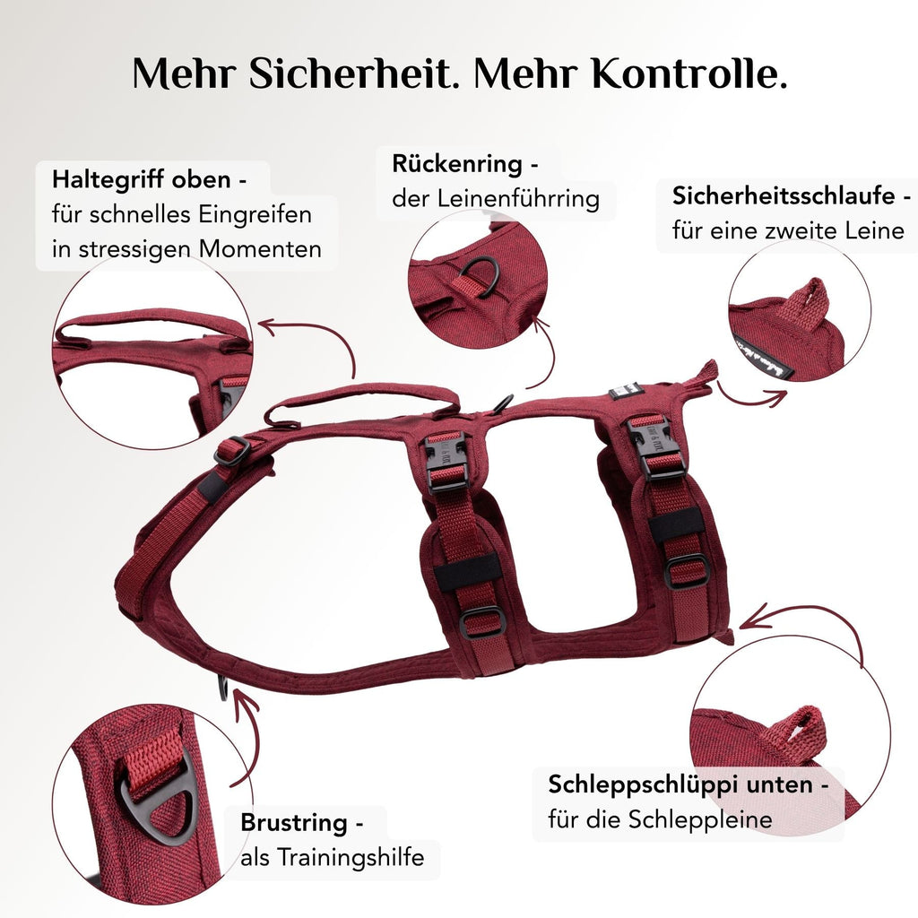 Wau-Safety Sicherheitsgeschirr Velvet Bordeauxrot mit Rückenring, Brustring, Sicherheitsschlaufe und Schleppschlüppi