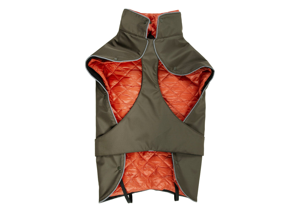 Wau-Coat 2 in 1 Hundemantel, Regen- und Wintermantel in einem, Modell Olive, Innenfutter Orange  - schützt den Bauchbereich