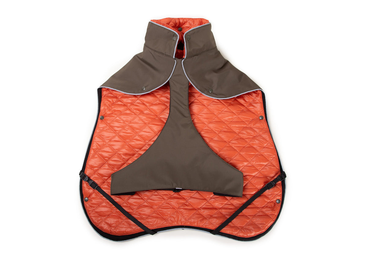 Wau-Coat 2 in 1 Hundemantel, Regen- und Wintermantel in einem, Modell Olive, Innenfutter Orange  - mit praktischen Beinschlaufen