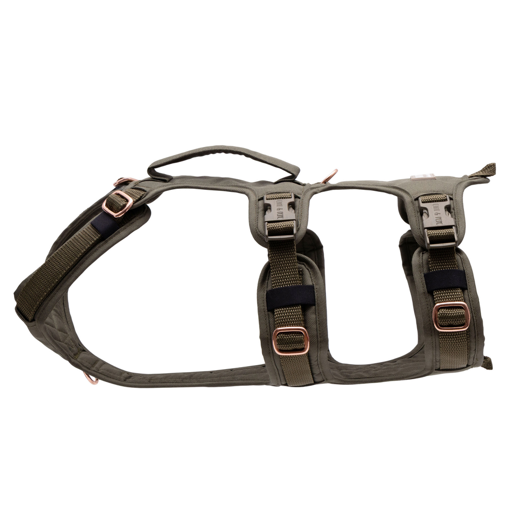Wau-Safety Sicherheitsgeschirr Seitenansicht für Hunde auf weißem Hintergrund in der Farbe Lotte in Olive und Sage Green von EMMY & PEPE
