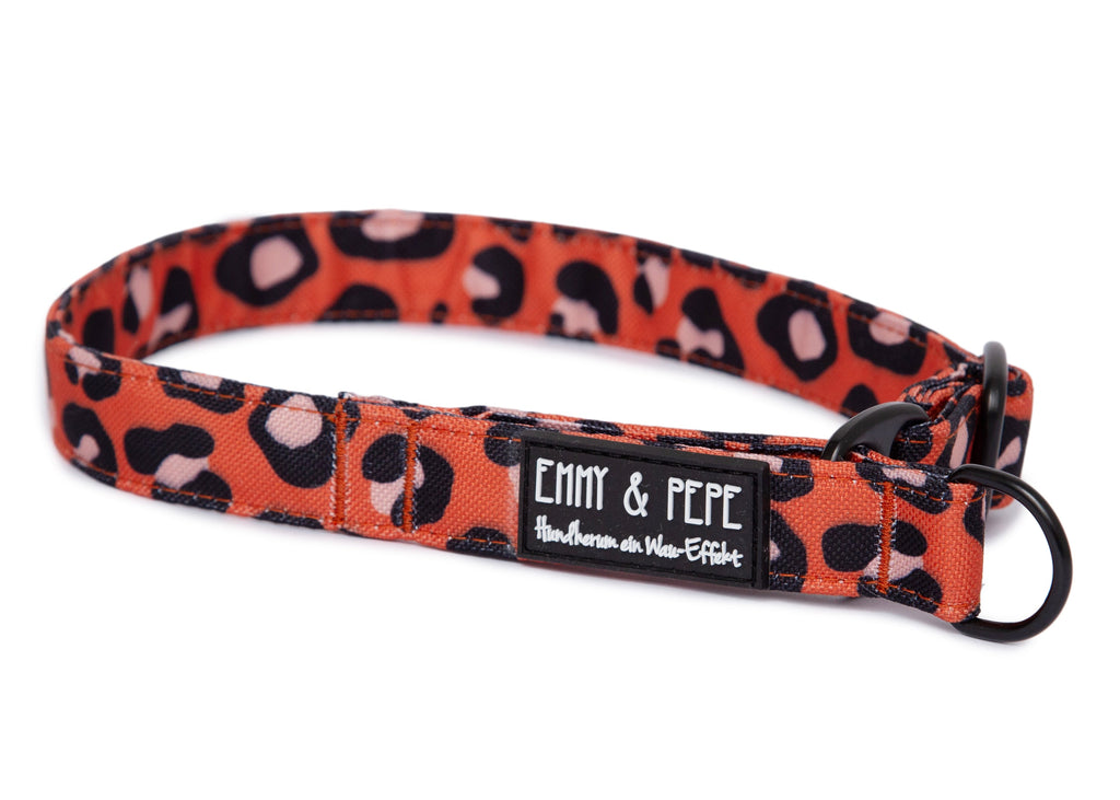 Zugstopp-Halsband für Hunde, Modell Leo Orange, für kleine und große Hunde
