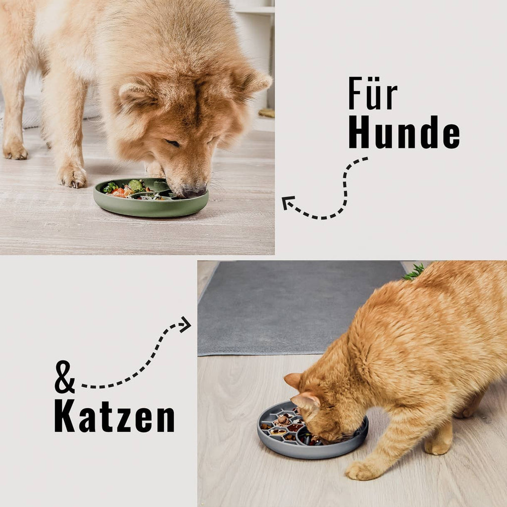 Anti-Schlingnapf & Schleckmatte