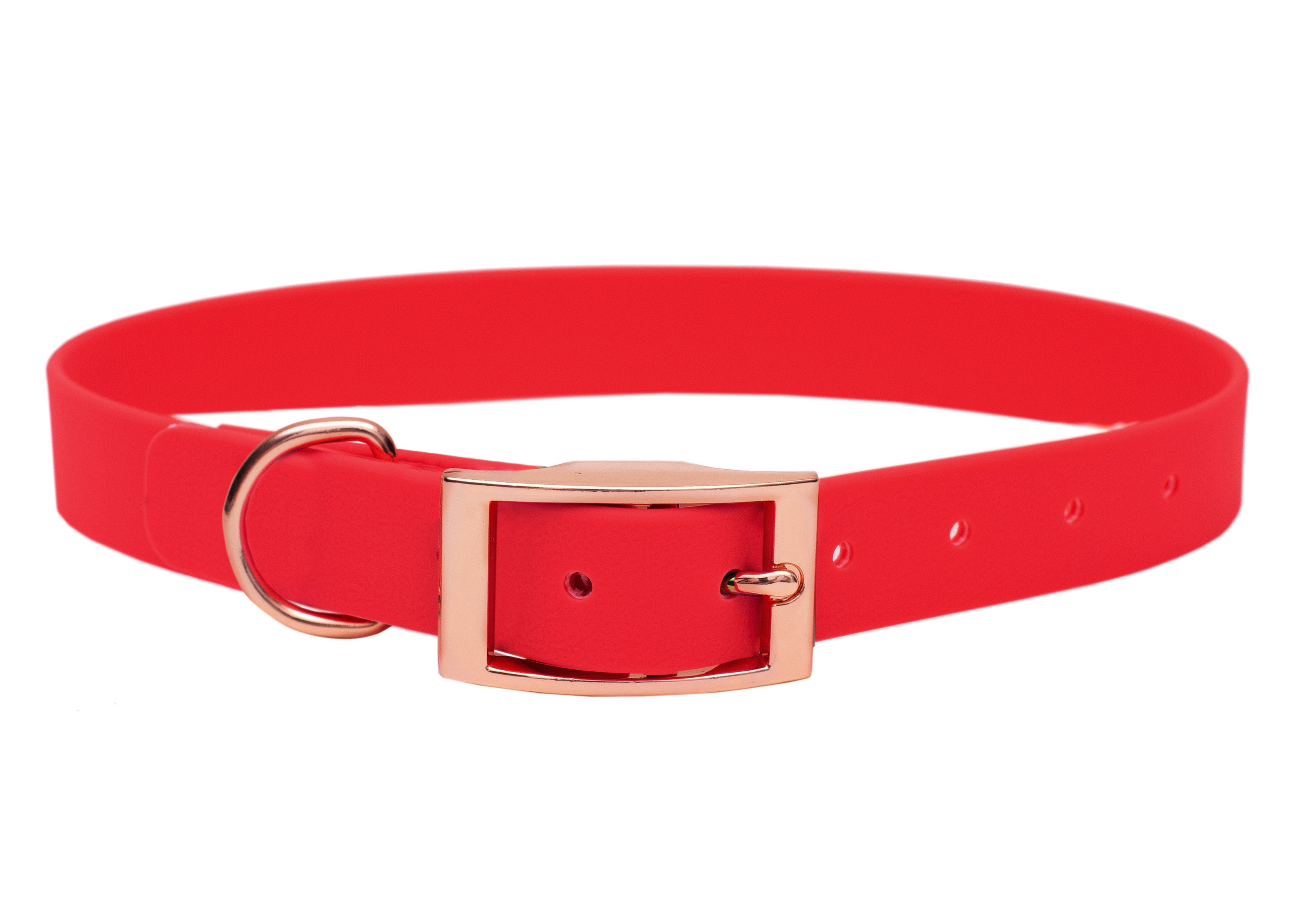 Biothane Halsband Rot
