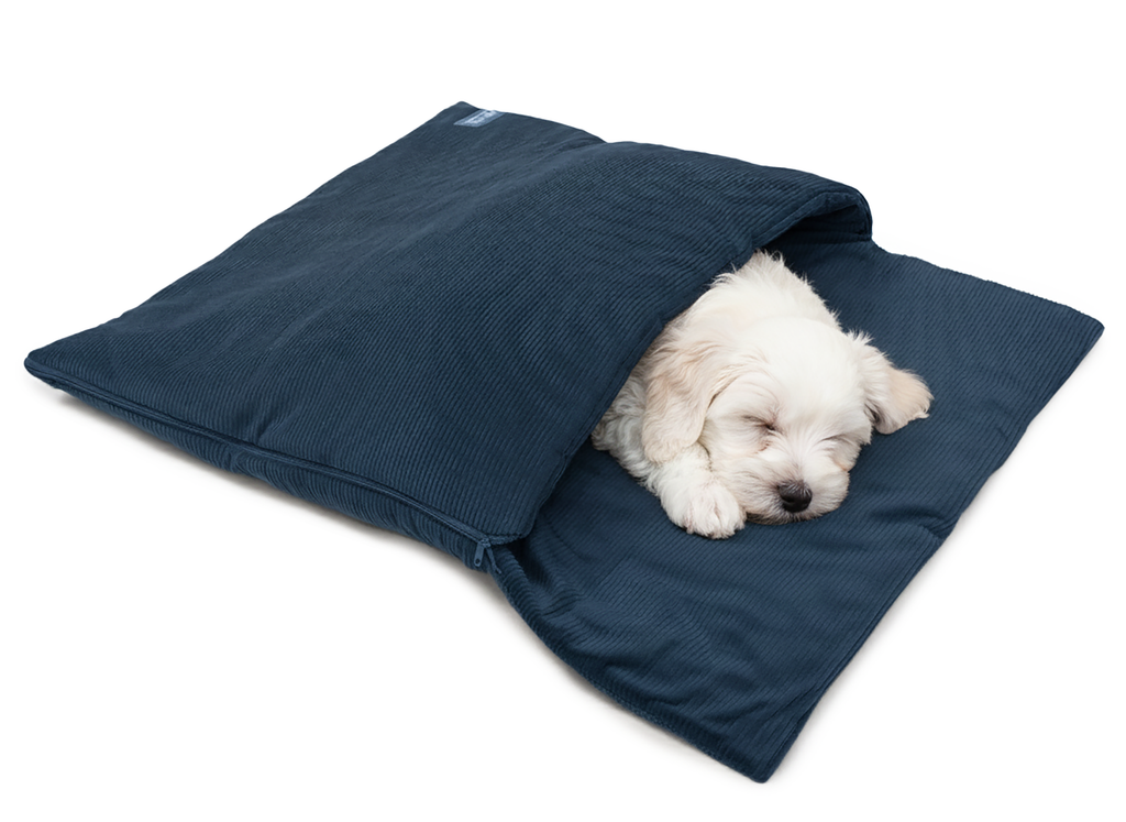 Wau-Snooze Cord Blue